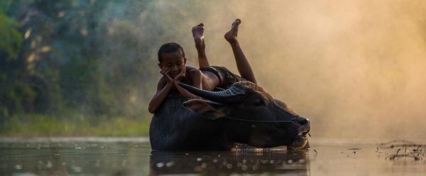 Amazing Travel Facts