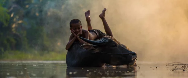 Amazing Travel Facts