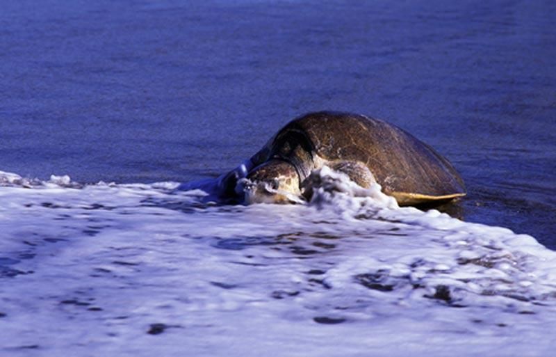 costa rica travel news