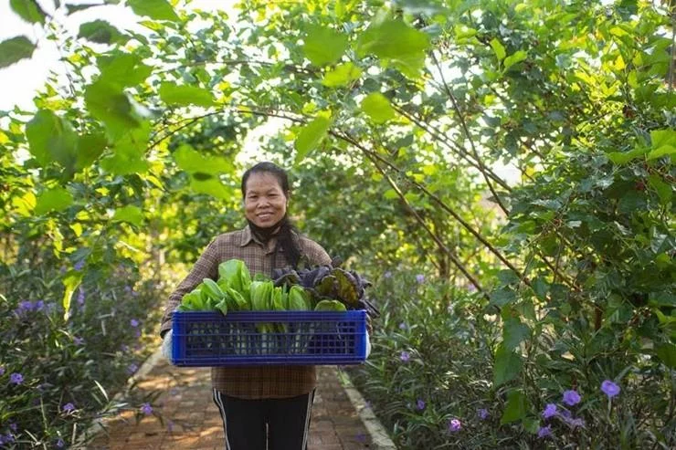 New Urban Hotel opens organic farm with Michelin-Starred Chef