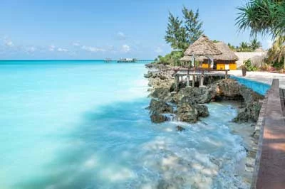 Exceptional Scuba Diving in Zanzibar